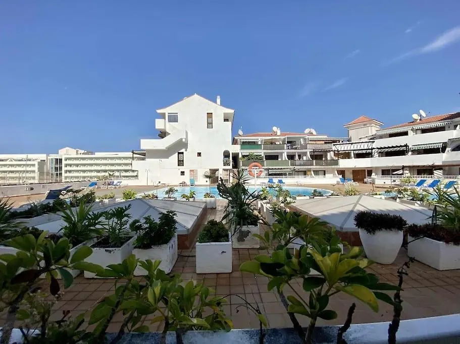 Brand New Apartment In Parque Royal Pool Terrace Wifi Costa Adeje  Španělsko